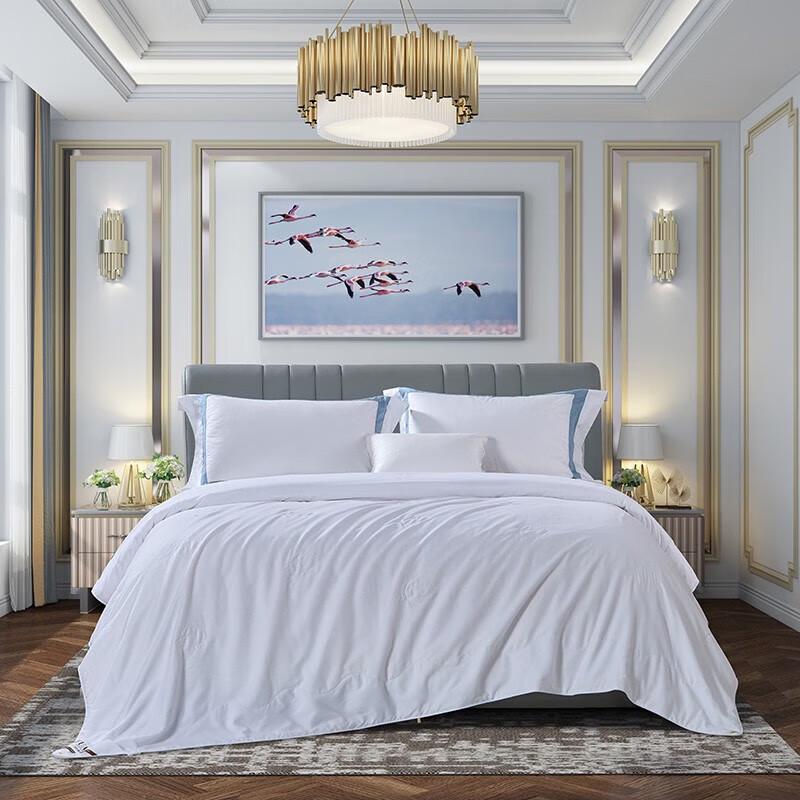 

Fuanna Qingyan Mulberry Silk Summer Quilt 203x229cm