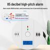Carbon Monoxide Alarm: CO Detector for Anti-Poisoning - Export Model
