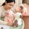 Sitzendes Sparschwein Puppe Plüschtier Flauschiges Cartoon Schwein Tier Plüschtier Gepunkt Rosa Weiß Braun Beruhigendes Geschenk