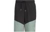 Neo Sports Shorts Men's Black Moderate IP3882