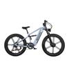 Nathaniel SYR-09 Electric Bike For Adult 1000W*2 Motor 48V 20Ah Battery 26 inch Off-Road Tire Electric Bicycle