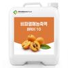 Loquat Fruit Concentrate 10 Brix 20 kg 1 pcs