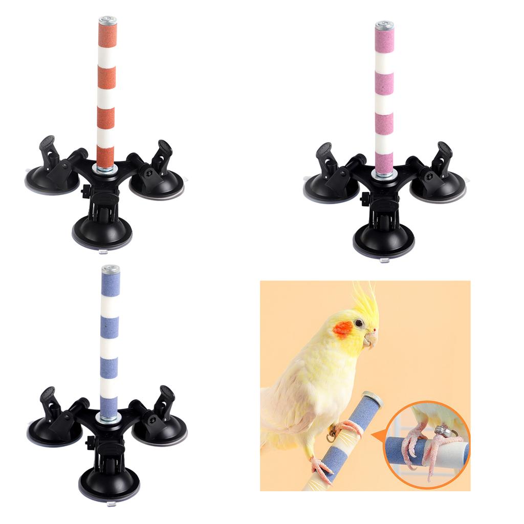 Bird Perch Ceramics Stand for Parrots Conure Supplies Budgies Grinding Scratcher for Small Medium Parrots Rack Toy