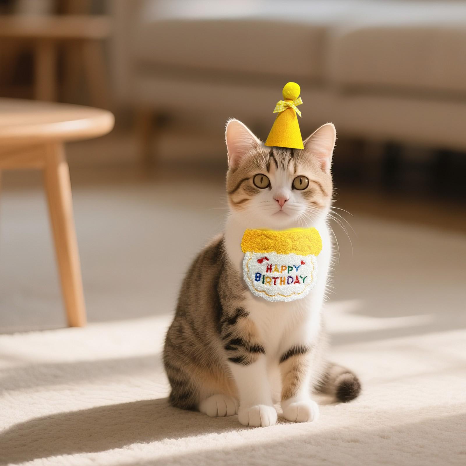 

Костюм на день рождения кошки Украшение на день рождения собаки Нагрудник Набор шляп для дня рождения питомца Шарф-нагрудник One Size жёлтый