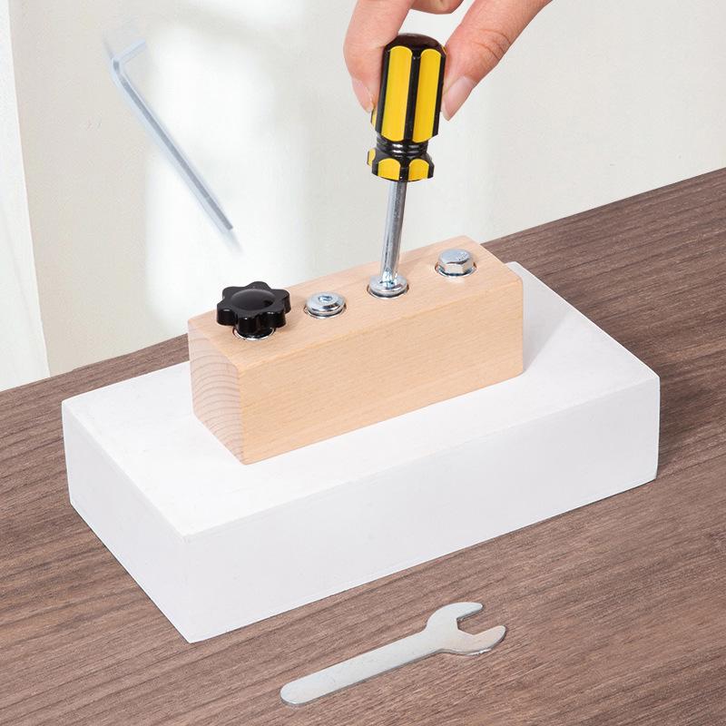 Montessori Toddler Educational Lock & Screw Busy Toy