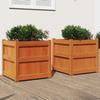VidaXL Planters 2 Pcs Wax Brown Solid Pine Wood 837419