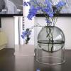 Transparent Gifts Glass Bottle Weddings Party Hydroponic Plant Flower Pot Flower Vase Glass Vase Table Decor Home Decoration