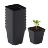 Seedling Pots 50Pcs Square Plant Seeding- Planting Cup Plastic Deep Nursery Tree Pot Flower Plant Container Pot Garden Grow