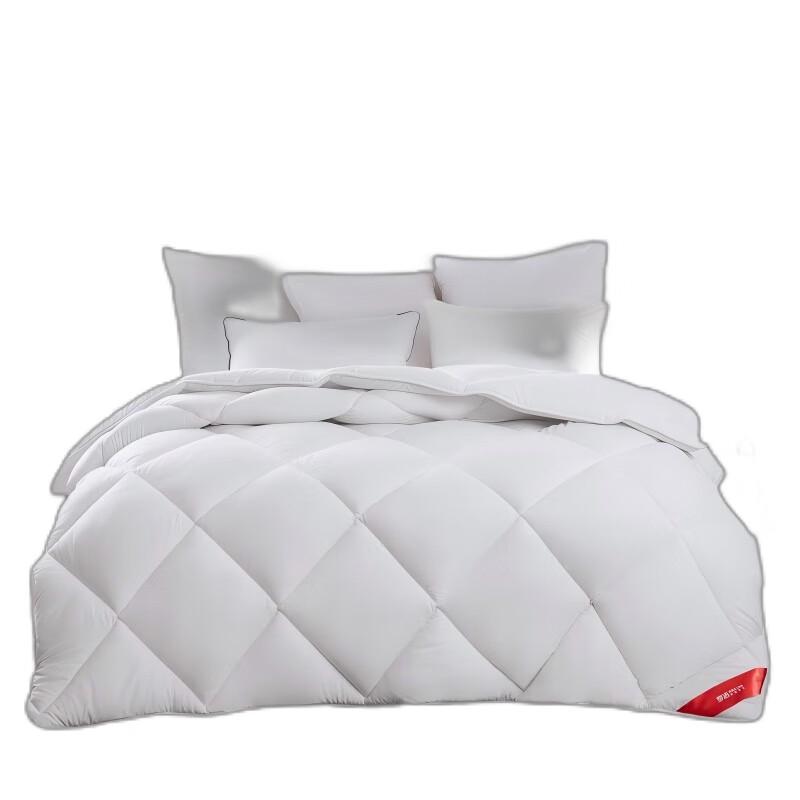 

Mengjie Soft & Fluffy All-Season Quilt