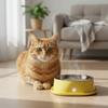 Noiseless Pet Water Fountain Anti-dry Burning Stainless Steel  Cat Bowl  Warm Stomach