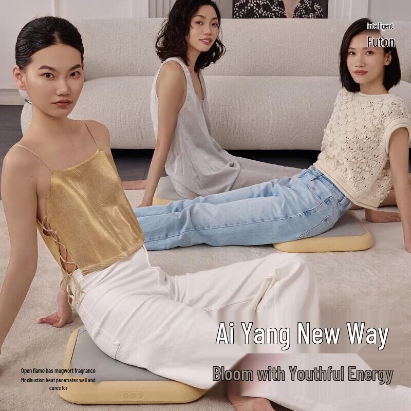 Zuodian Smart Smokeless Moxibustion Heat Therapy Cushion