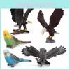 Wild Owl Pvc Bird Model With Realistic Design For Home Decor And Educational Use