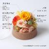 Konservierte Blume Petit Dome, Handgefertigte Materialien, Getrocknete Blumen, Geschenke, Feiern, Jahrestage, Geburtstage, Blumenarrangements, Blumengeschenke, Neve