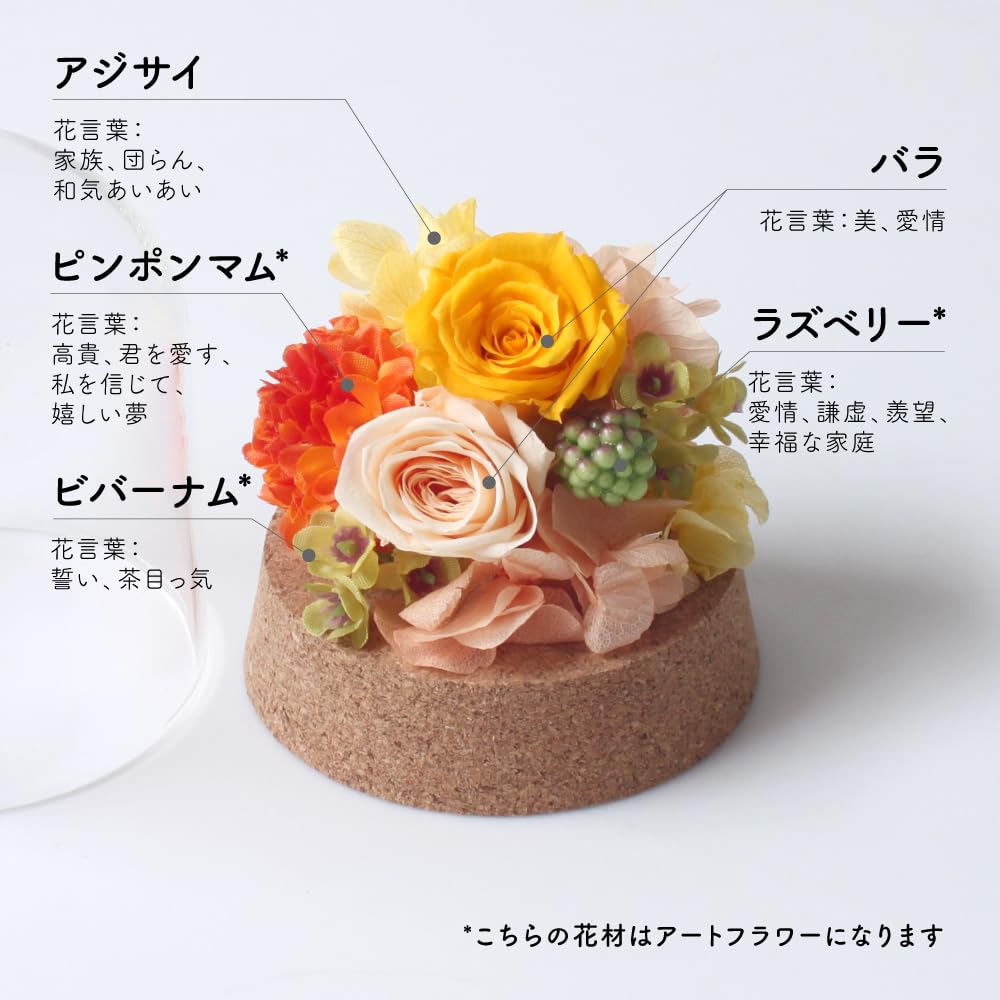 Konservierte Blume Petit Dome, Handgefertigte Materialien, Getrocknete Blumen, Geschenke, Feiern, Jahrestage, Geburtstage, Blumenarrangements, Blumengeschenke, Neve