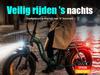Electric Bicycle Eskute D202 20" Tire 250W Motor City Foldable E-Bike 48V 20.8Ah Dual Disc Brakes 7 Speed Max Load 150Kg