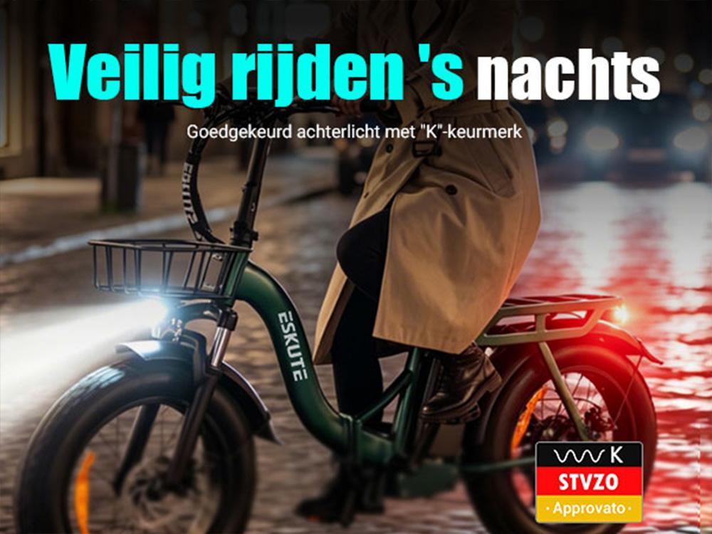 Electric Bicycle Eskute D202 20" Tire 250W Motor City Foldable E-Bike 48V 20.8Ah Dual Disc Brakes 7 Speed Max Load 150Kg
