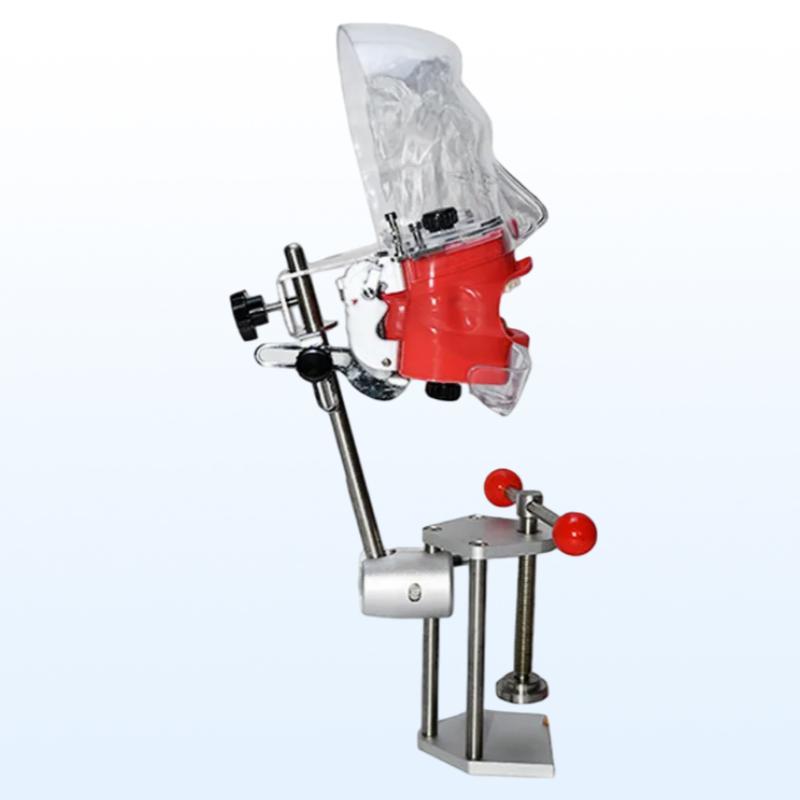Dental Phantom Head Model with Bench Mount Teeth Exercise Practice Simulator Ready Stock