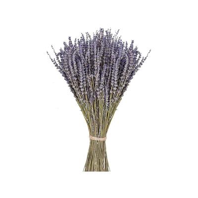 Natürlicher Getrockneter Lavendel Frisch Geernteter Lavendel Schöner Blumenstrauß Blumen Arrangieren Hochzeit DIY Zuhause Party Geschenke