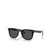 Ray-Ban 0RB4420 Sunglasses