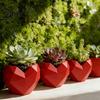 Cactus Planter Pot Love Heart Shape Pot, 3D Printed Geometric Modern Flowerpot Flowerpot, Succulents Plants Container, Gift for