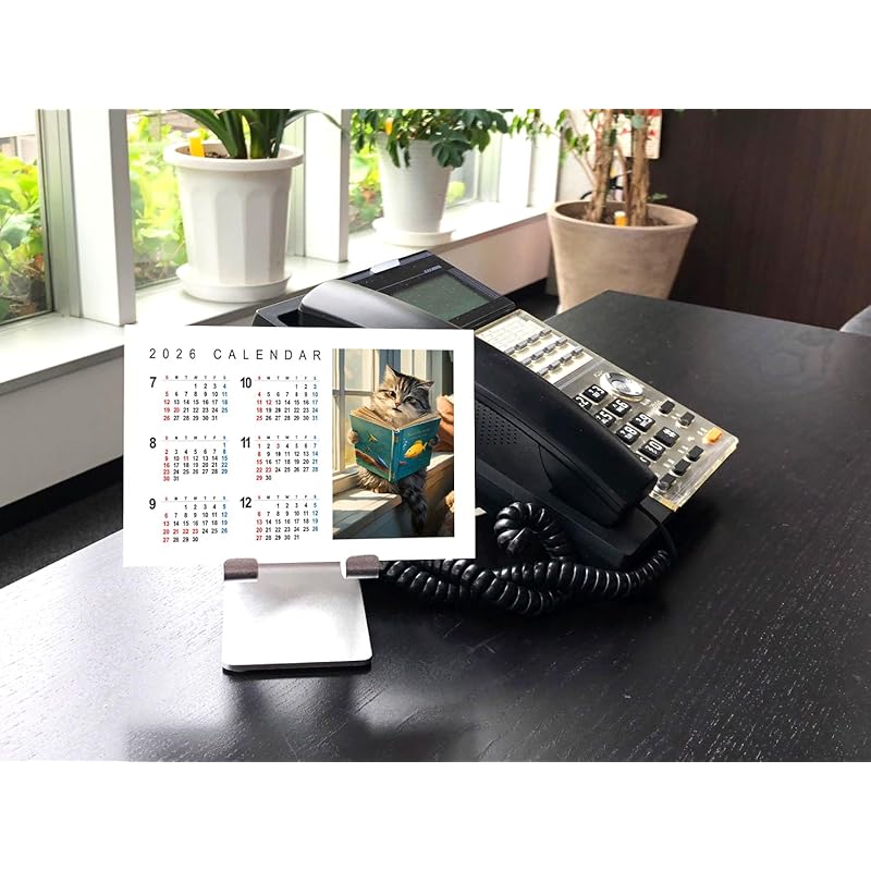 [Bonus Included] Great Fortune and Good Luck 2026 Wall Calendar CL-665 CL26-665