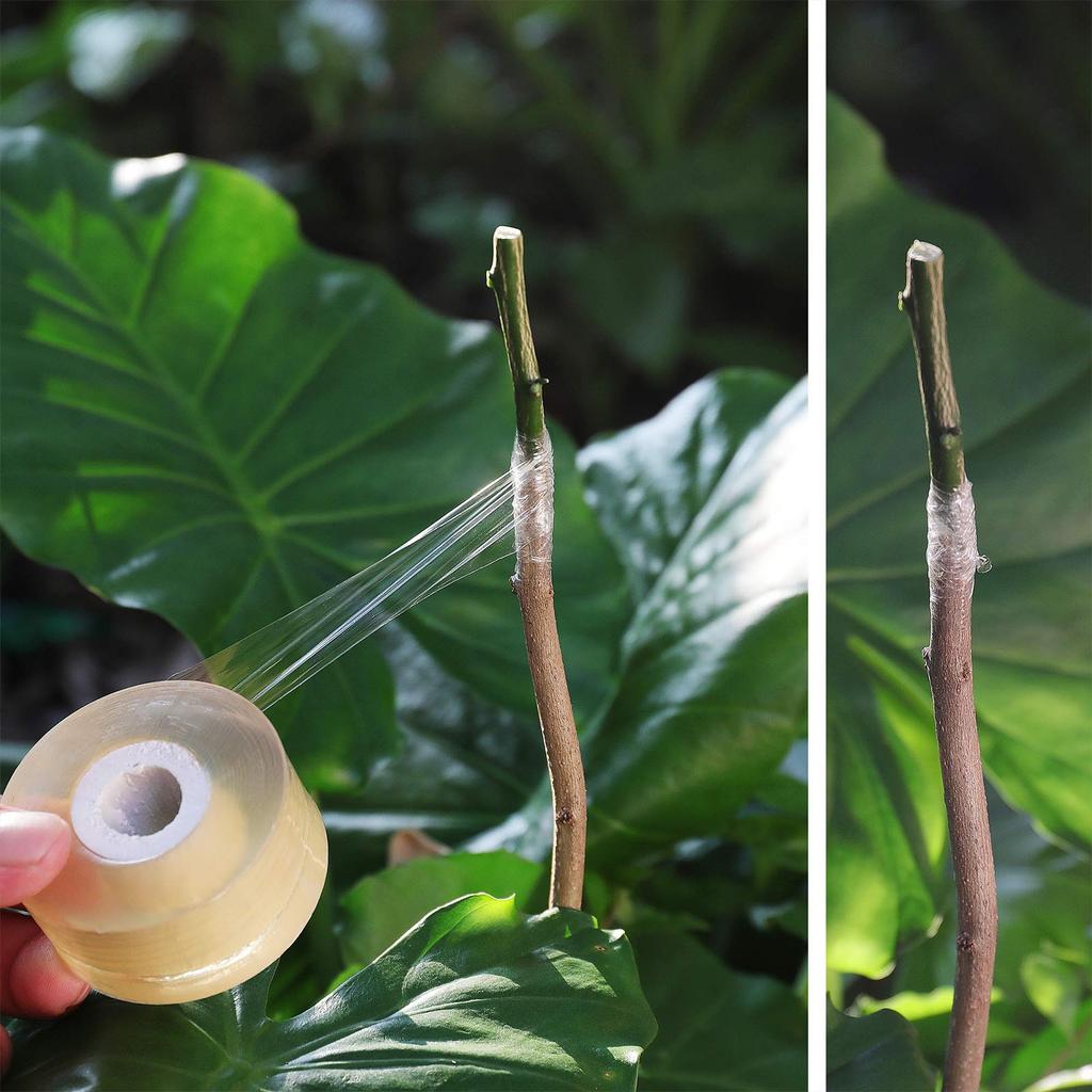 3pcs Grafting Tape Professional Stretchable Self Adhesive Plants Repair Budding Tapes for Floral Fruit Tree