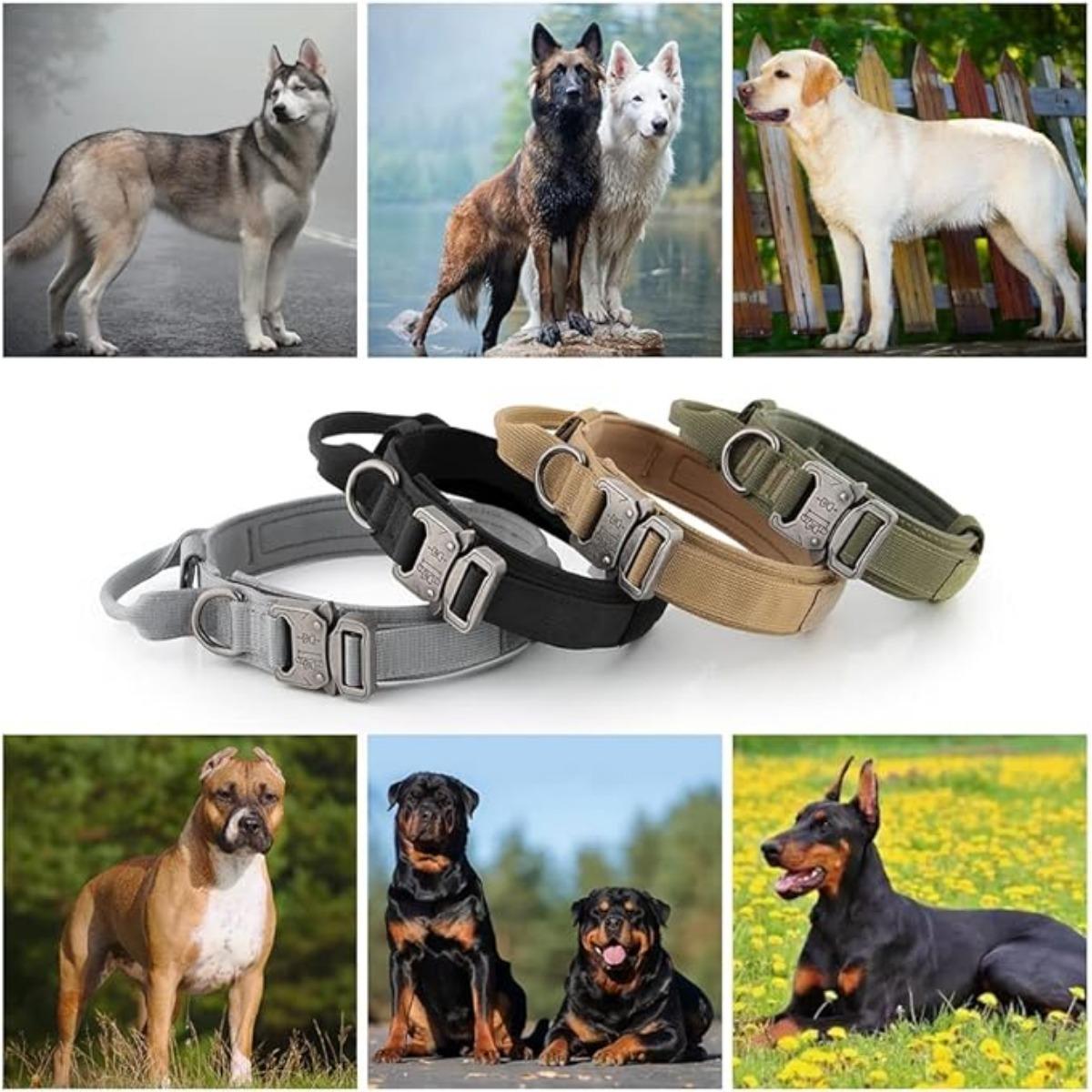 

Тактический ошейник для собак Plutus Pet, с мягкой подкладкой, регулируемый M хаки
