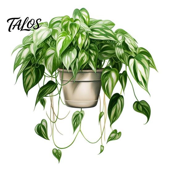Easy Peel And Stick Home Decor Watercolor Potted Plant Wall Stickers, PVC Waterproof Hanging Pothos/Daisy Decals, Removable Green Leaf Stickers