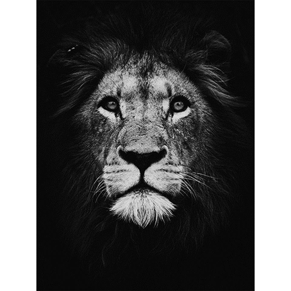 5D Round Diamond Painting "animal" Lion Tiger Diamond Embroidery Cross Stitch Kit Rhinestone Mosaic Picture DIY Decoration Gift