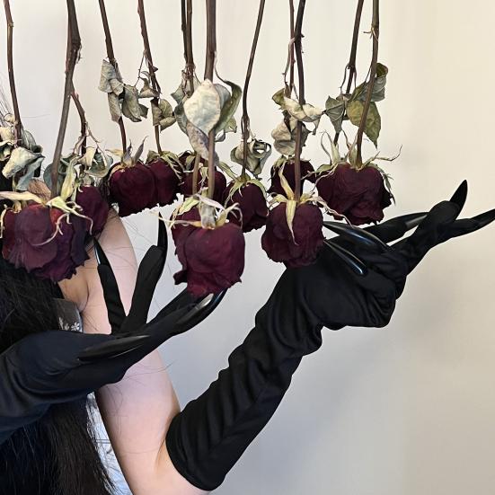 Halloween Gloves Long Section Ghost Claw Gloves Cosplay Gloves with Long Nails for Role-playing Costume Party Dress-up
