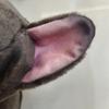 Französische Bulldogge Plüschtier - Niedlicher Puppenbegleiter für Kinder