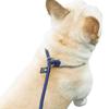 New Dog Leash Slip Rope Lead Leash Heavy Duty Braided Rope Adjustable Loop Collar Training Leashes For Small Medium Dogs