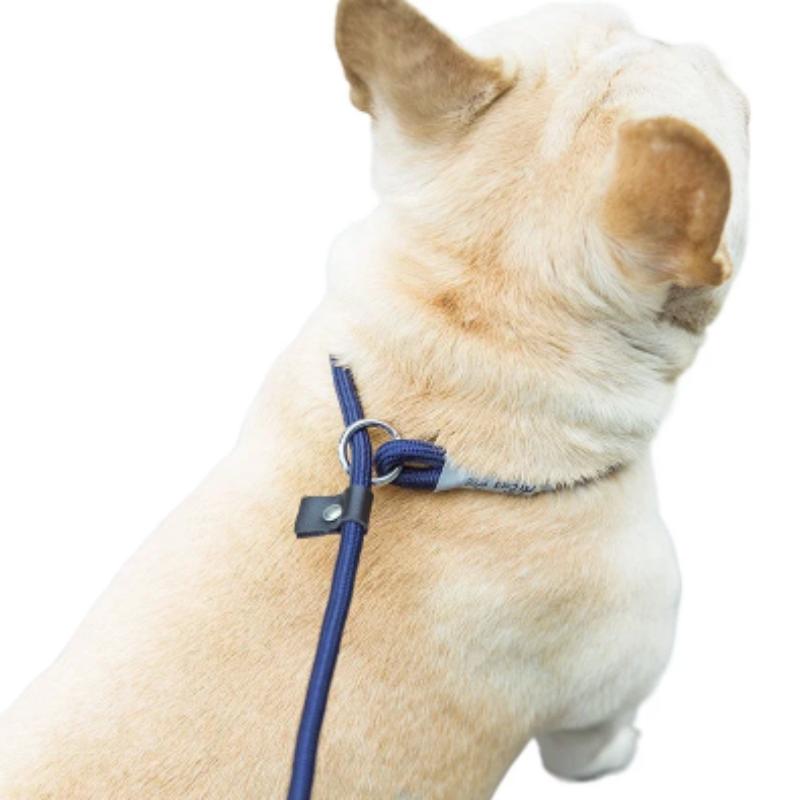 New Dog Leash Slip Rope Lead Leash Heavy Duty Braided Rope Adjustable Loop Collar Training Leashes For Small Medium Dogs