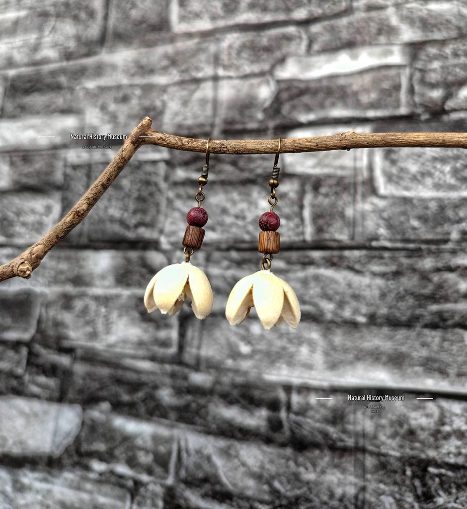 Fruit Earrings - Handmade Natural Dried Fruit Earrings, Retro Chinese Medicine Ethnic Style, for Women.