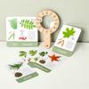 Montessori Magnifying Glass Toys Wooden Plant Cognition Cards  Kindergarten Kids