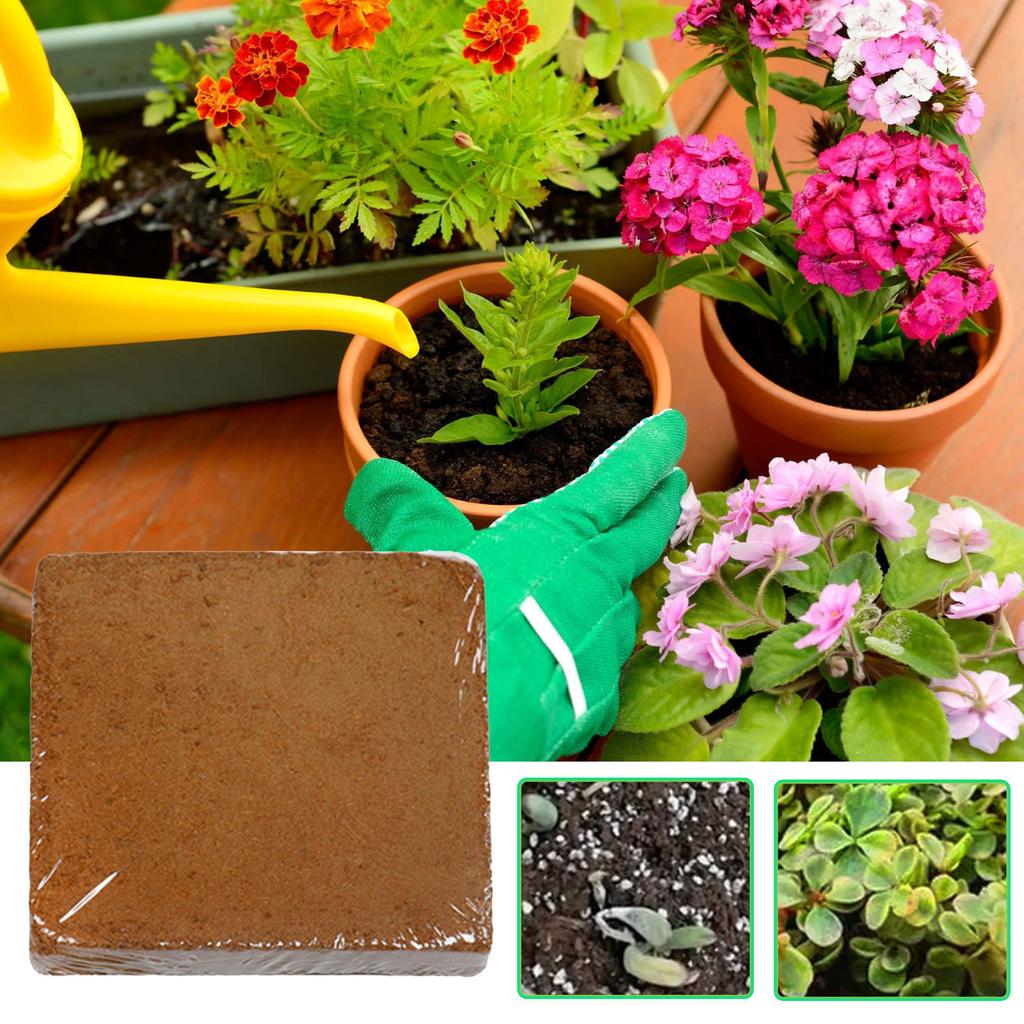 Organic Coconut Coir for Plant Concentrated Seed Starting Mix Seed Starter Soil Block Potting Fertilizers Garden Supply
