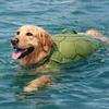 Portable Handle Dog Swimsuit Adjustable Dog Surfing Clothes Pet Life Jacket  Small Medium Large Dog