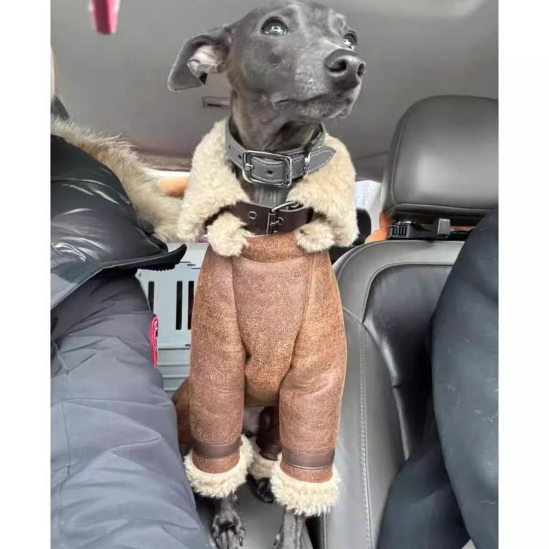 High-necked Whippet Clothes Italian Greyhound Bellington Dog Winter Cotton-padded Clothes Four Legged Dog for Small Medium Dogs