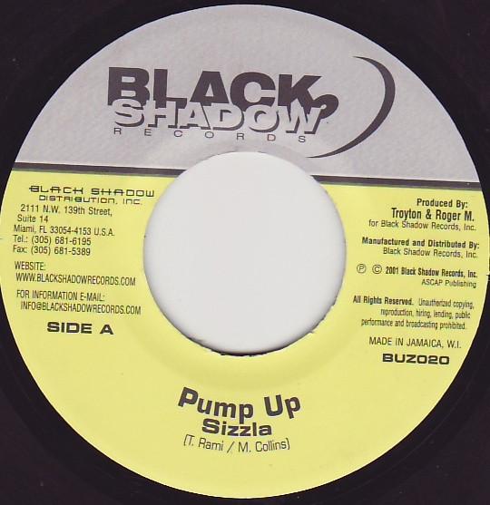 

7-дюймовая пластинка SIZZLA Pump Up NONE 2001 Ямайка Регги Ска Даб Б/у