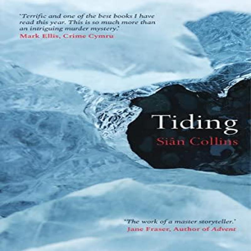 Tiding by Sian Collins Paperback Book 9781912905706
