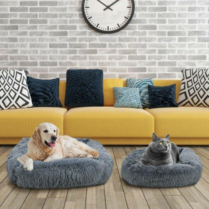 wasserdichter hundemantel Hundemantel Wasserdicht, 160g Dusty Blue 25  horze