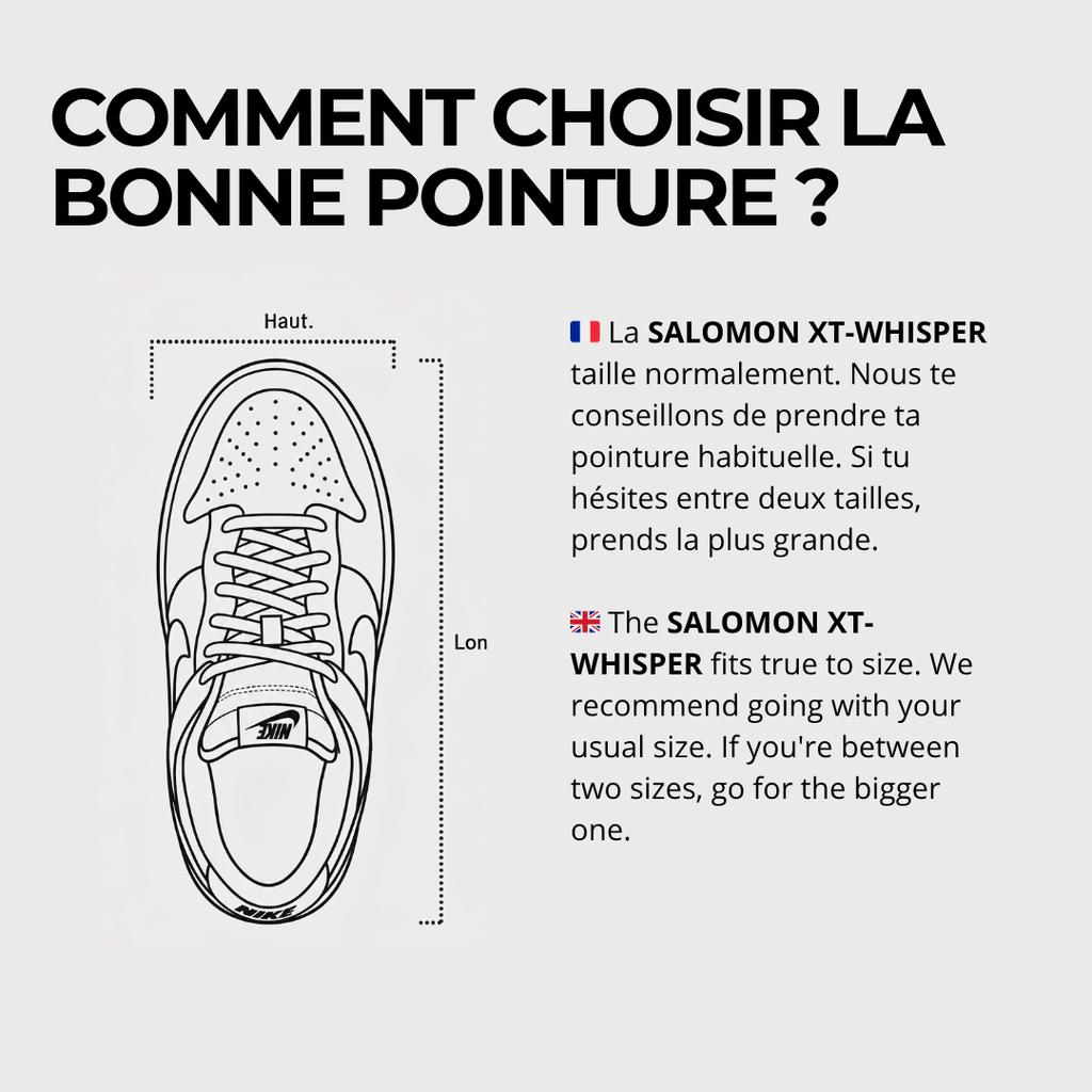 Salomon XT-Whisper Srebrny Skała Księżycowa