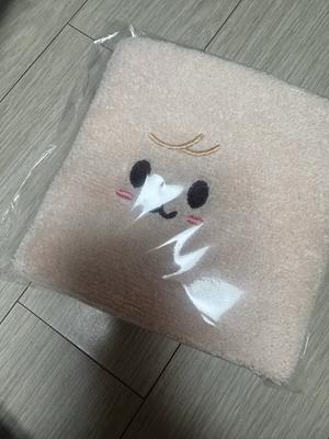 STRAY KIDS Skies Fan Meeting Admission Gift: Skies Towel (Papim)