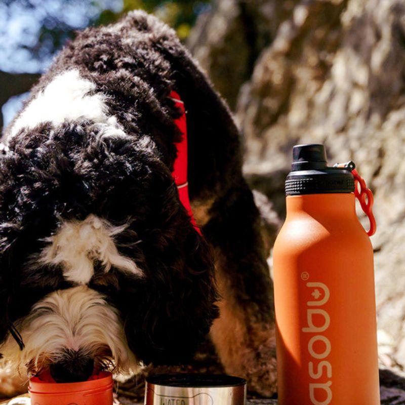 ASOBU Stainless Steel Vacuum Insulated Pet Tumbler 1L Buddy