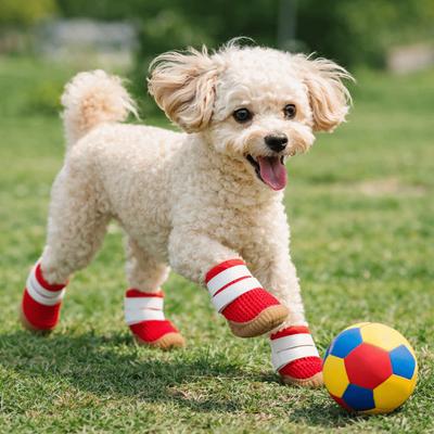 Breathable Dog Mesh Shoes Hollow Out Rubber Sole Dog Paw Protectors Adjustable Wear-resistant Anti-Slip Dog Boots Spring Summer