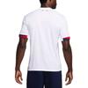 Nike Paris Saint-Germain 2025/26 Stadium Away Men's Nike Dri-FIT Soccer Replica Jersey Fn8781-101