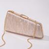 Evening Party Acrylic Shoulder Crossbody Bag Metal Clip Clutch New Special Shape Fashion Coin Purse Women's Mini Handbag Luxury