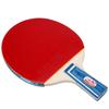 Double Fish 1DC Horizontal Grip Table Tennis Bat