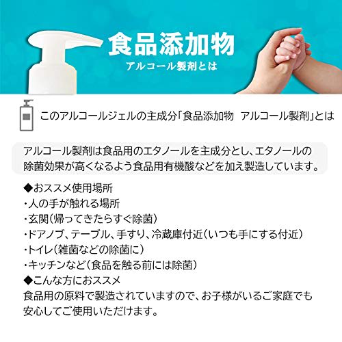 Alcohol-Based Hand Gel 500ml (1 bottle)