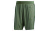 Sports Shorts Men's Ruins Green Moderate FJ6141